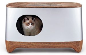 Gato dentro de la Ikuddle