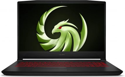 MSI Bravo 15 B5DD-007XES reseña