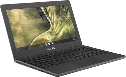 ASUS Chromebook C204MA-GJ0342 reseñas